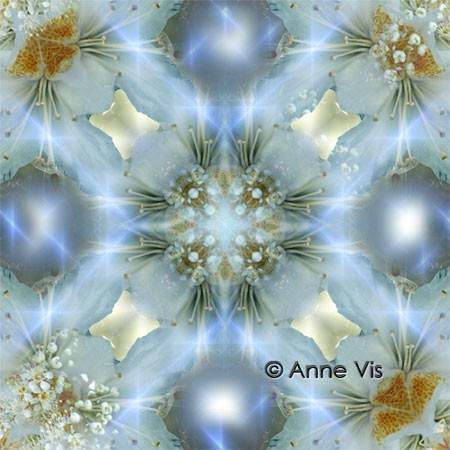 Flower Composition