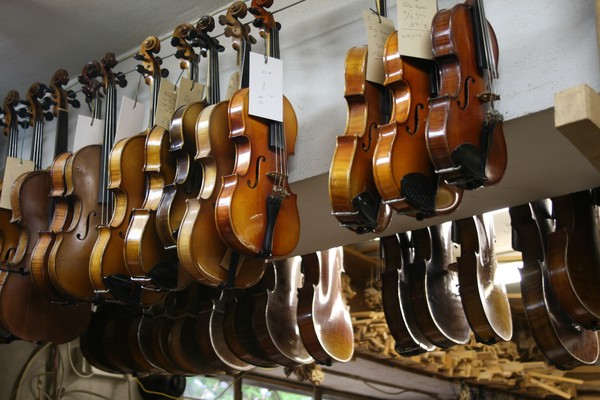 Violins