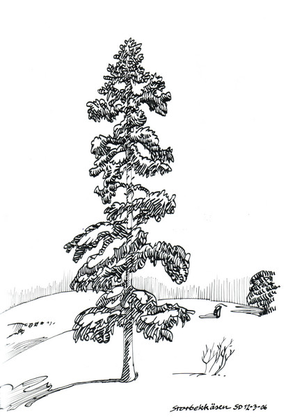 Storbekkaasen