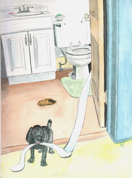 Labradoodle Pup & toilet paper