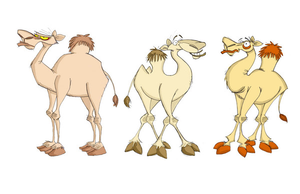 camels