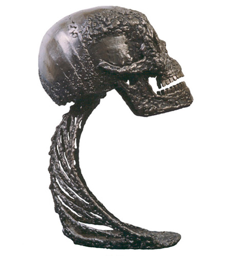 Human Skull & Neck