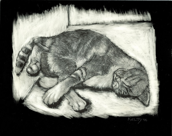 sleeping cat