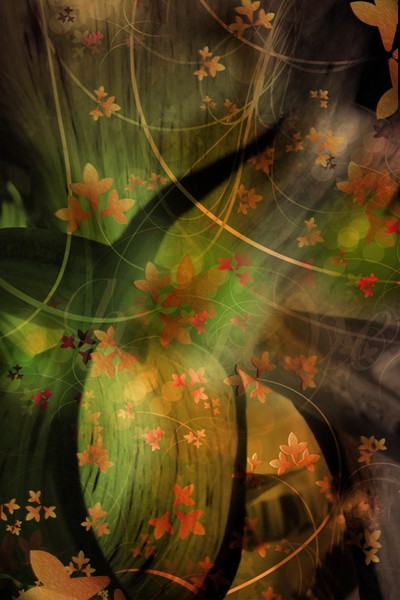 Plant wallpaper