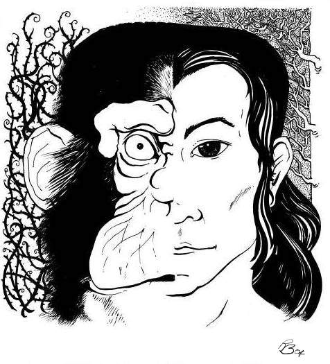 Ape or Adam