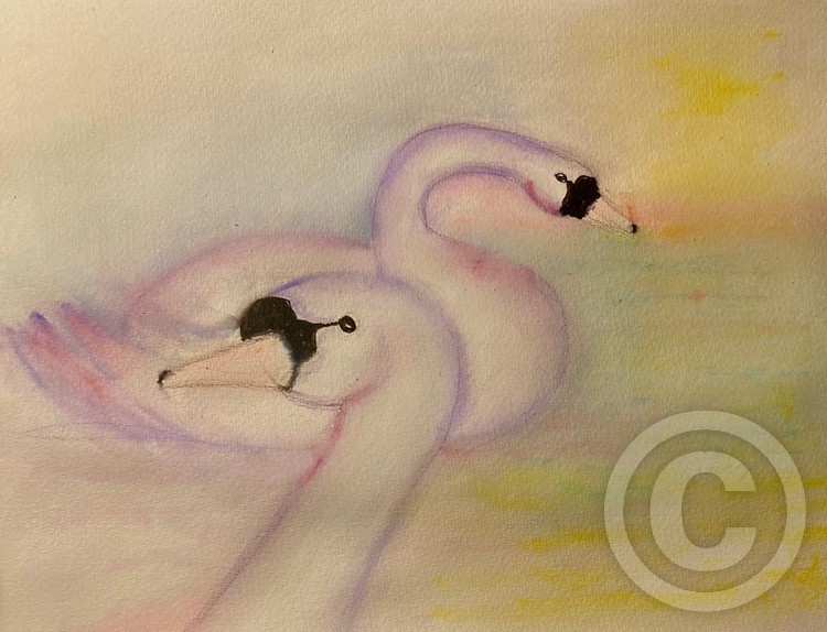 Swans at Sunset / Watercolor  Study