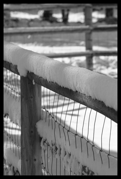 Fence Post
