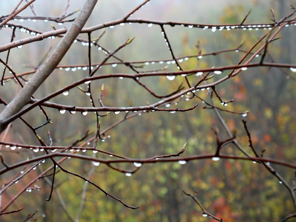 Surface Tension