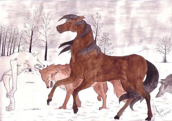 Wolf's hunting
