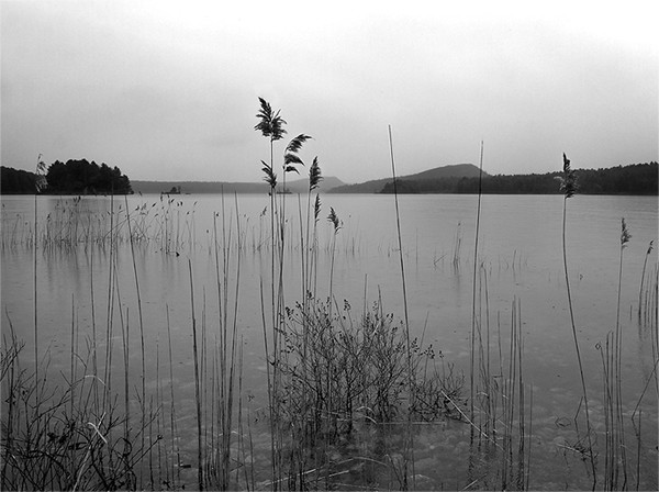 Quabbin In The Rain