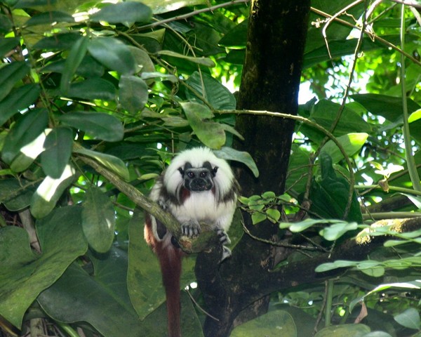 What are you looking at?