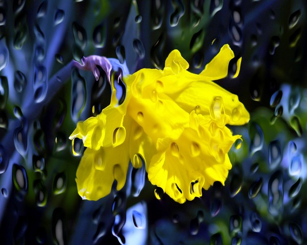 Flower with Craqueture filter