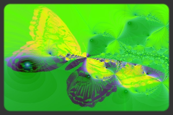 Metamorphis