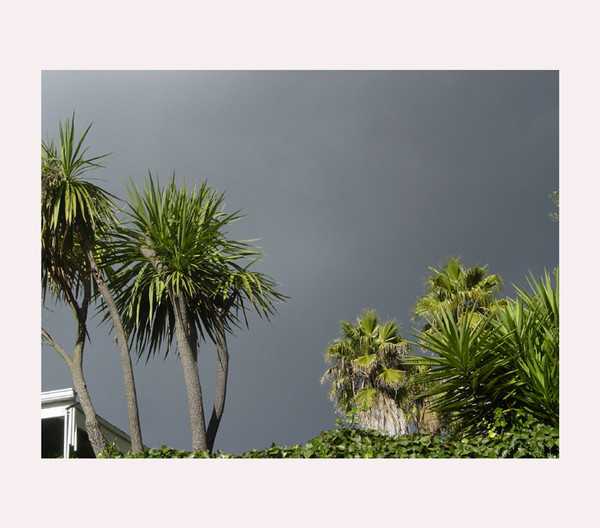 HERE COMES THE RAIN