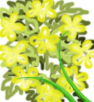 Blossom Flowers