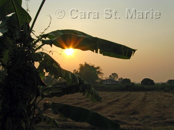 Sunset in Sukhothai Province