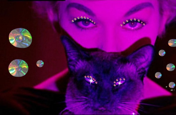 cat majik 