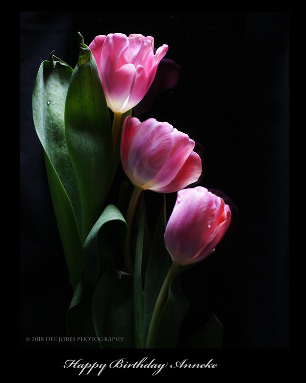 Happy Birthday Anneke