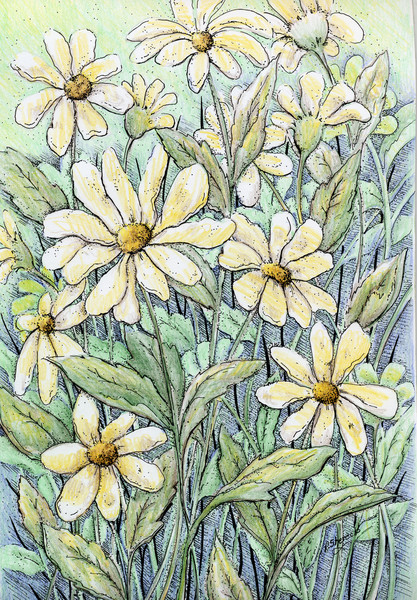 Daisy Fantasy