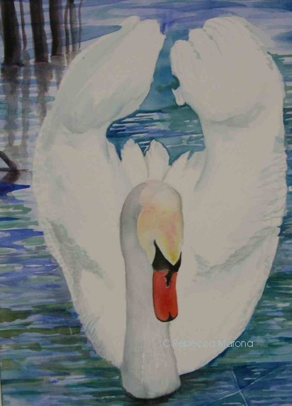 Swan Poses Painting