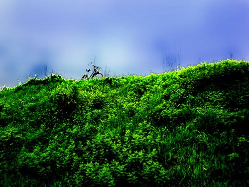 My Bike