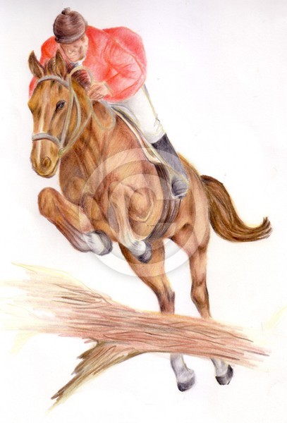 Horse kecil