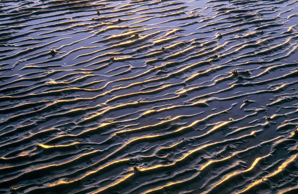 Tide's Out!