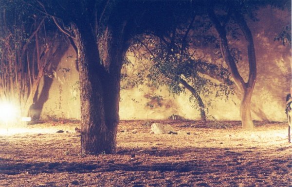 Night Scene
