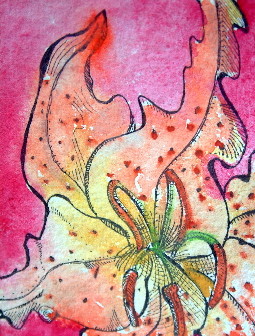 Lily