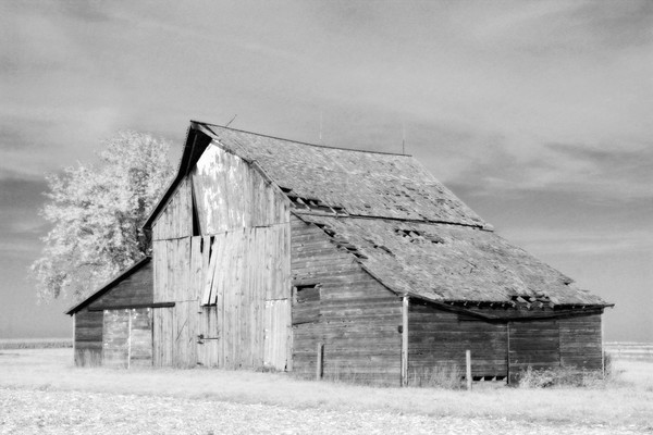 Collins Barn