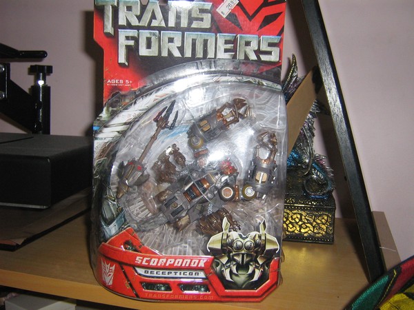 Scorpion Transformers