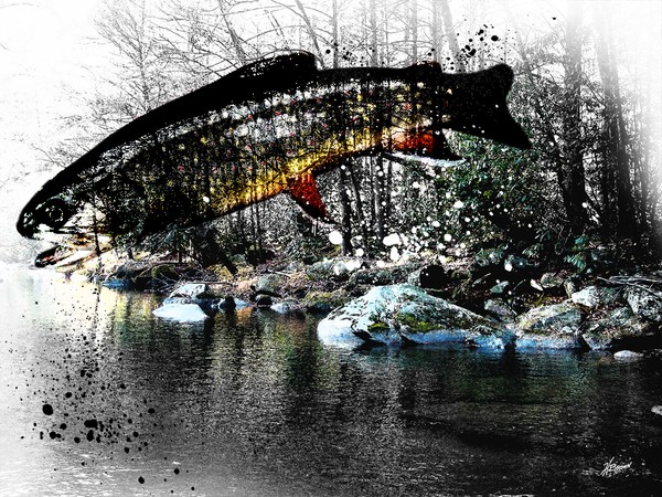 Rocky Broad Brook 