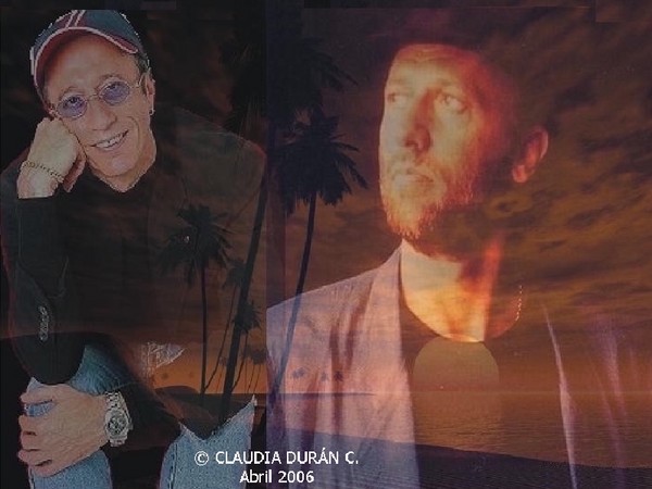 Sunset....The Gibb Twins