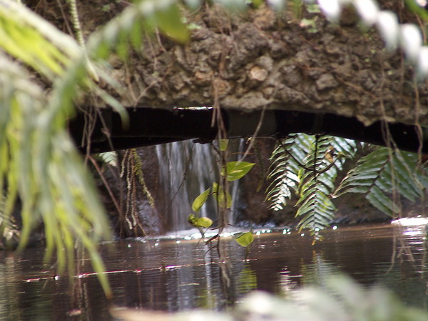 Running Water 3