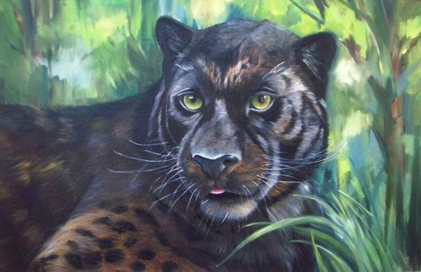 Pantera Negra
