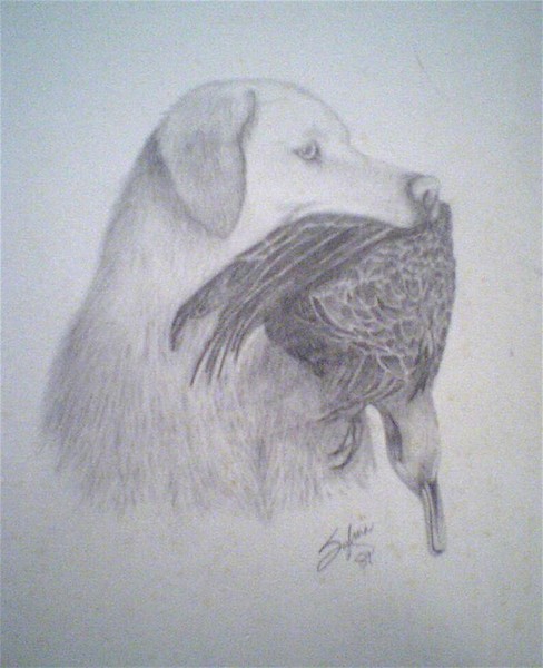Mouth full of Duck