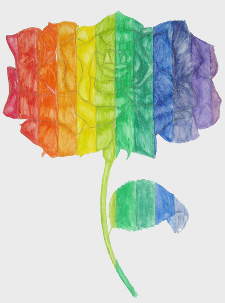 Rose Rainbow