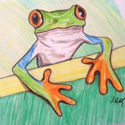 TREE FROG