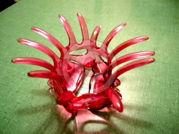 Sea Urchin