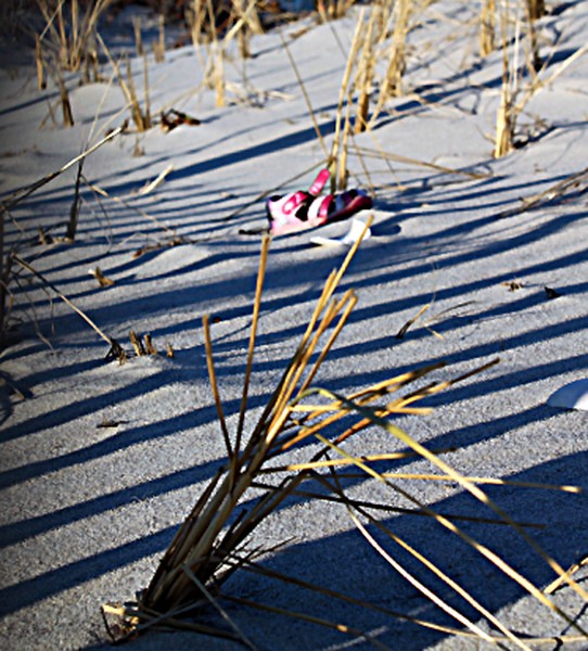 Winter's Memory of a Summer Stroll
