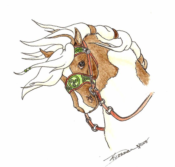 Celtic Pony