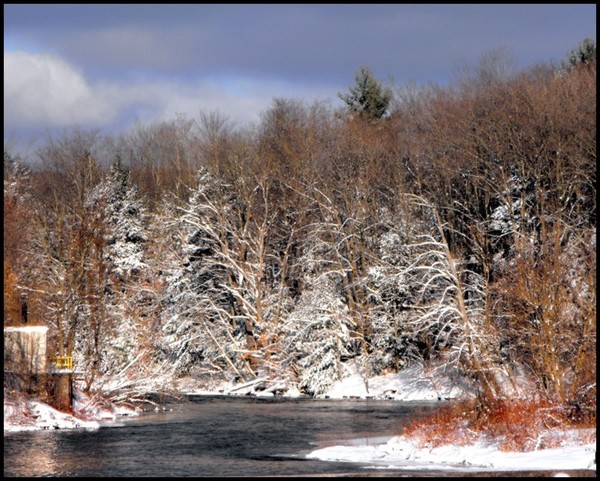 Harden Creek In Winter