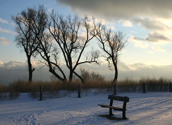 Winter Sunset