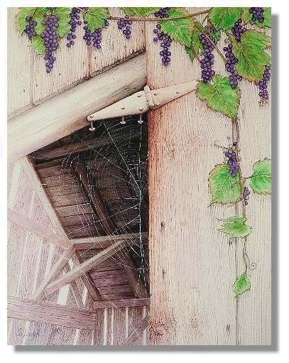 Web,Wood, Wild Grapes