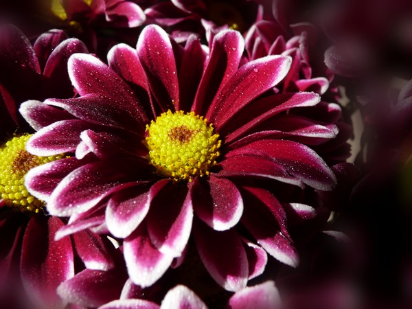The Essence Of Divinity