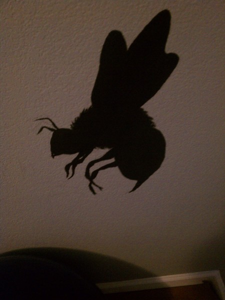 Black Wasp