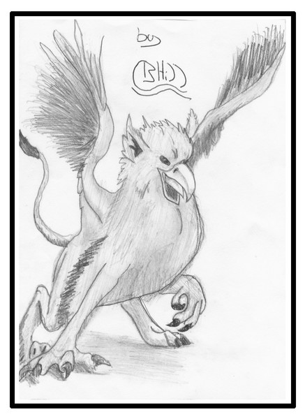 Griffon