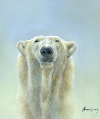 Polar Bear