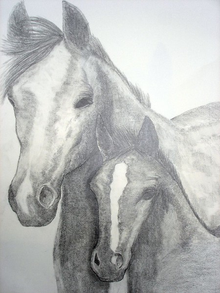 mare and foal