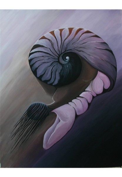 Nautilus 3